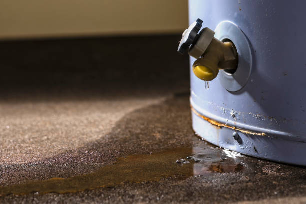 Water damage restoration process in FL