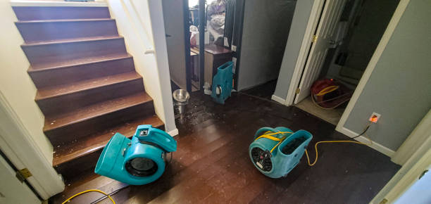 Best Water damage restoration near me  in Palm River Clair Mel, FL