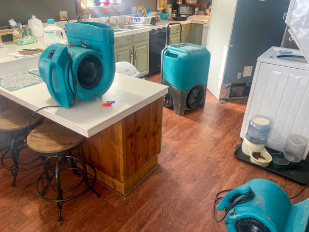 Best Water damage restoration near me  in Palm River Clair Mel, FL