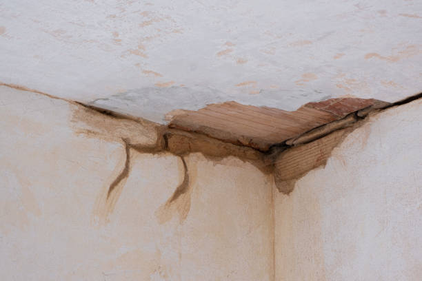Best 24-hour water damage restoration  in Palm River Clair Mel, FL