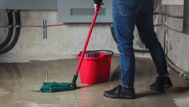 Best Sewage cleanup and water damage restoration  in Palm River Clair Mel, FL