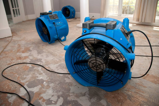 Best Carpet water damage restoration  in Palm River Clair Mel, FL