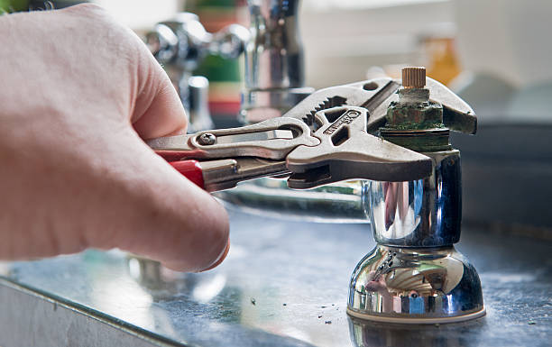 Best Water damage cleanup near me  in Palm River Clair Mel, FL