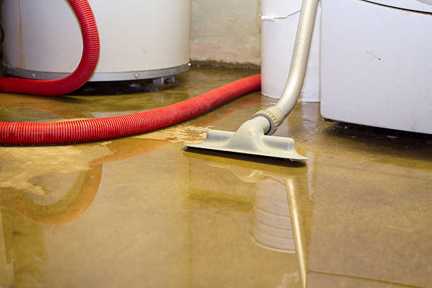 Best Carpet water damage restoration  in Palm River Clair Mel, FL