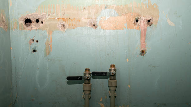 Best 24/7 water damage repair  in Palm River Clair Mel, FL