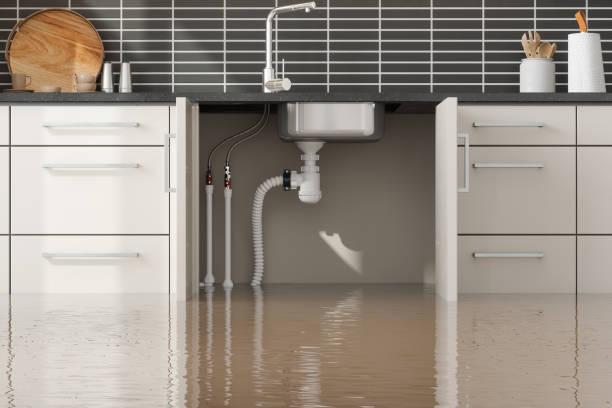 Best Mold removal after water damage  in Palm River Clair Mel, FL