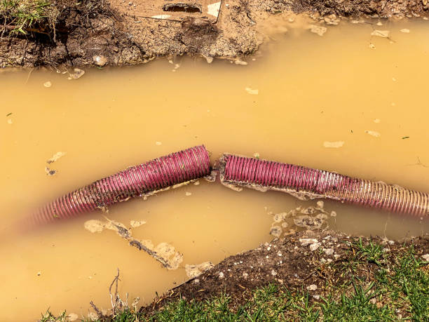 Best Emergency water damage restoration  in Palm River Clair Mel, FL